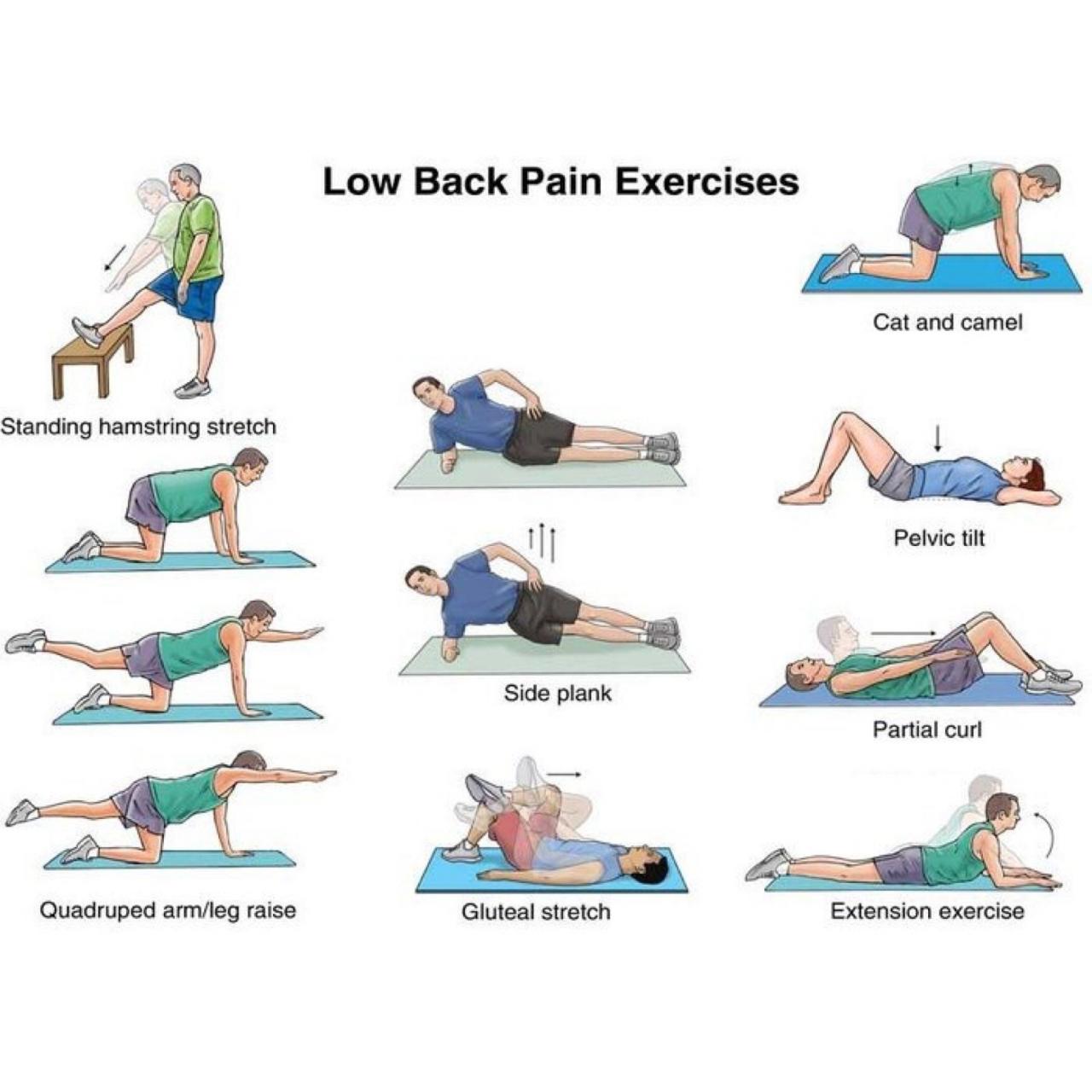 Exercises for lower back fat